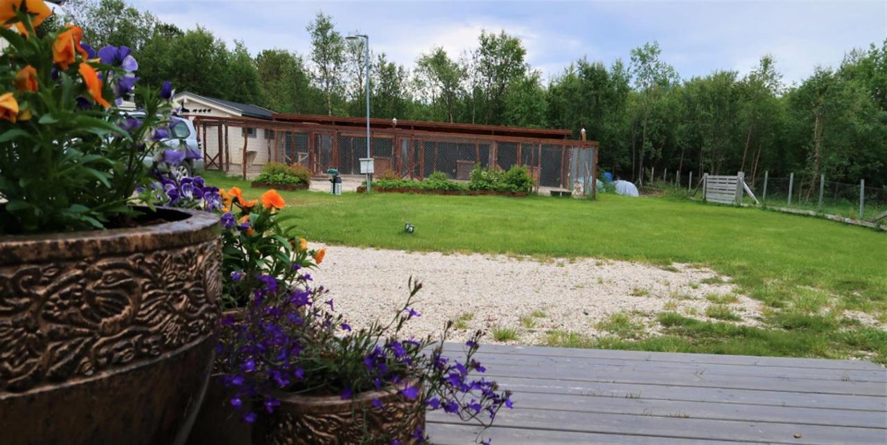 Fjellivet Villa Lakselv Exterior photo